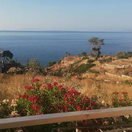 View Apartment *